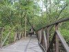 Permanent Link to Hutan Mangrove Wajib Dijaga dan Dilestarikan Ketua Radio Antar Penduduk Indonesia (RAPI) cabang Balikpapan Barat Medi Susanto meminta kepada pemerintah dan seluruh tokoh masyarakat kota Balikpapan untuk bisa menjaga dan melestarikan hutan mangrove. Foto: http://bocahpetualang.com