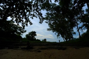 Pepohonan rindang di Pantai Banua Patra. Foto: Benyamin Lakitan