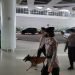 Personil Unit K-9 Ditsamapta Polda Kaltim lakukan patroli sterilisasi di Bandara SAMS/Sepinggan (Dok. Humas Polda Kaltim)