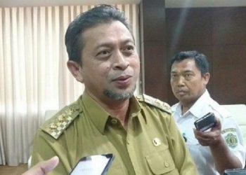 Wakil Gubernur Kaltim, Hadi Mulyadi. (Pemprov)