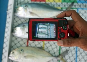 Crew Operating Data Recording System (CODRS) secara aktif melibatkan nelayan dalam melakukan pendataan perikanan. (dok. YKAN)