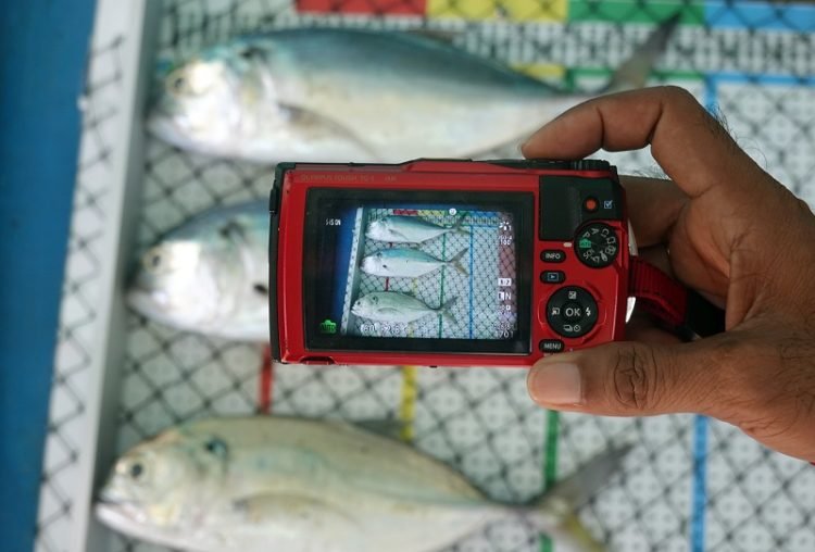 Crew Operating Data Recording System (CODRS) secara aktif melibatkan nelayan dalam melakukan pendataan perikanan. (dok. YKAN)