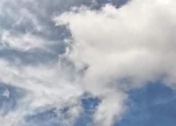 Cuaca panas, yang tampak dari Kebun Sayur Balikpapan. (PB/ Gopek)