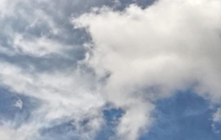 Cuaca panas, yang tampak dari Kebun Sayur Balikpapan. (PB/ Gopek)