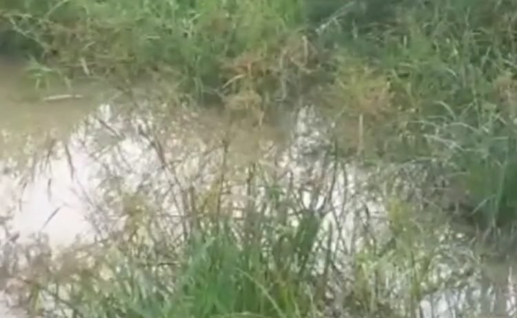 Tangkapan layar kebocoran Pipa PDAM di jalur hutan KM 8 (doc. PTMB)