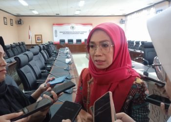 Wakil Ketua Komisi IV DPRD Kaltim Puji Setyowati ketika diwawancarai. (Yst)