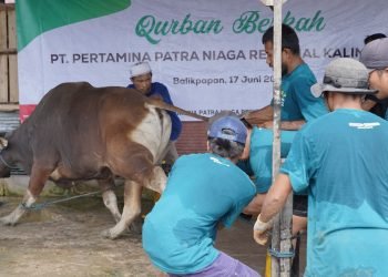 Penyembelihan hewan qurban Pertamina Patra Niaga Regional Kalimantan di Balikpapan. (doc. Pertamina)