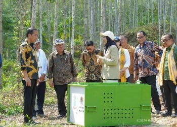 Penandatanganan perjanjian kerjasama mengenai Pelindungan dan Pengelolaan Rimba Kota untuk Pendidikan, Penelitian, dan Pengabdian Masyarakat di Kawasan Inti Pusat Pemerintahan IKN antara Otorita IKN dan Universitas Gadjah Mada, disaksikan langsung Presiden Republik Indonesia, Joko Widodo. (doc. Humas Otorita IKN)