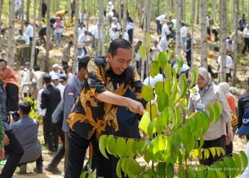 Presiden Jokowi melakukan kegiatan penanaman tanaman di IKN. (doc. Humas Otorita IKN)