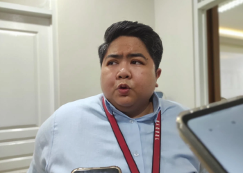 Wakil Ketua DPRD Kaltim, Ananda Emira Moeis.