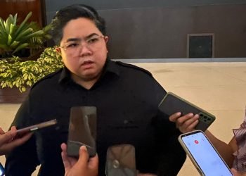 Wakil Ketua DPRD Kaltim, Ananda Emira Moeis.