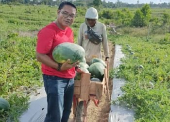 Anggota DPRD Kalimantan Timur, Guntur. (dokpri)