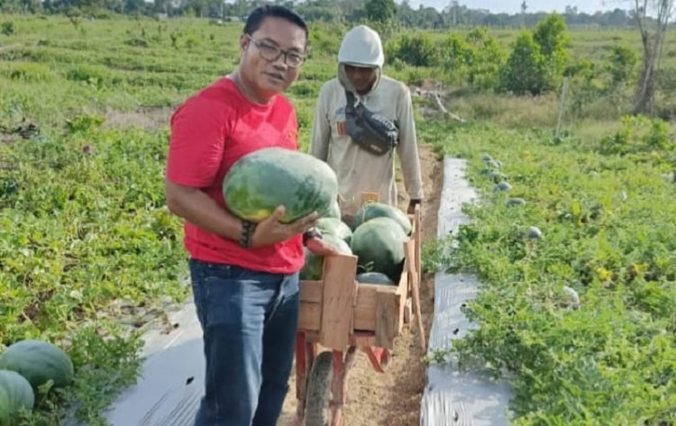 Anggota DPRD Kalimantan Timur, Guntur. (dokpri)