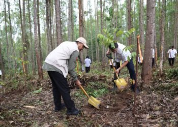Kegiatan penanaman pohon di Kawasan Inti Pusat Pemerintahan IKN. (doc. Humas Otorita IKN)