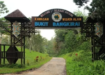 Pintu gerbang wisata Bukit Bangkirai. (doc. Pemprov Kaltim)