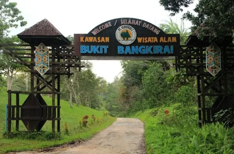 Pintu gerbang wisata Bukit Bangkirai. (doc. Pemprov Kaltim)