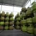 Ilustrasi tabung gas elpiji 3 kg. (dok. Pertamina Patra Niaga)