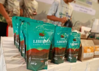 IKN raih Rekor MURI lewat festival kopi liberika pertama di Indonesia. Momen kolaborasi BI dan Otorita IKN hadirkan ruang kreatif bagi pecinta kopi Nusantara. (Dok. Humas Otorita IKN)