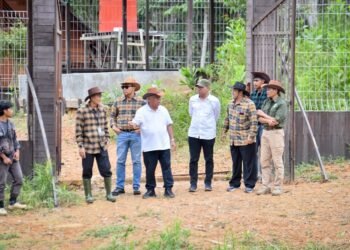 Otorita IKN bersama PAMA, UGM, dan Kemenhut melepasliarkan 12 rusa sambar sebagai bagian dari program eco-edu forest. (Dok. Humas Otorita IKN)