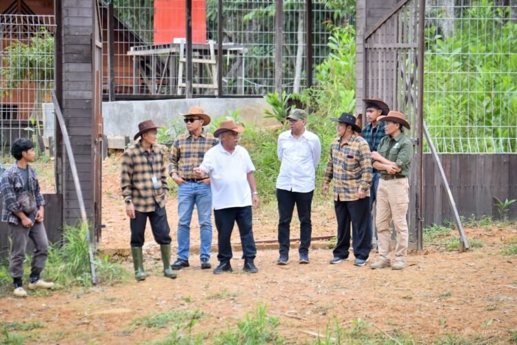 Otorita IKN bersama PAMA, UGM, dan Kemenhut melepasliarkan 12 rusa sambar sebagai bagian dari program eco-edu forest. (Dok. Humas Otorita IKN)