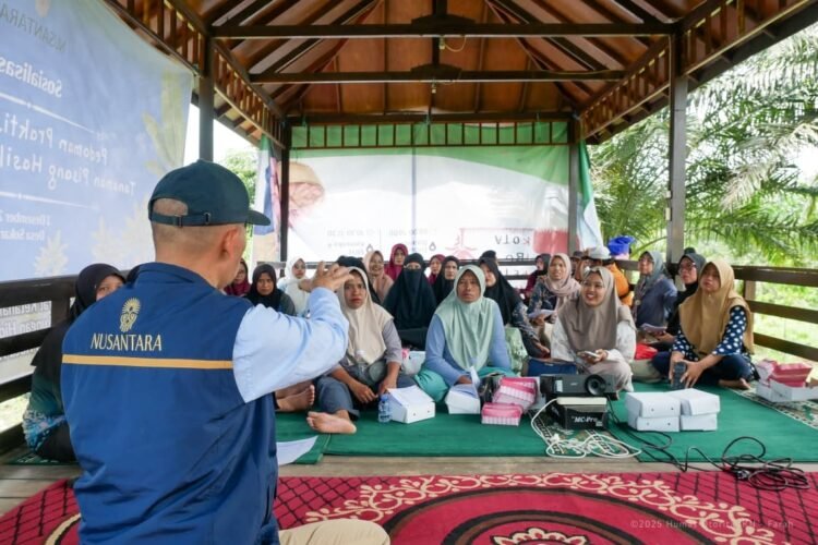 Otorita IKN memberikan sosialisasi budidaya pisang kultur jaringan kepada warga Sepaku. (Dok. Humas Otorita IKN)