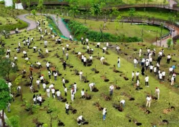 Penanaman bibit pohon di Plaza Bhinneka, KIPP Nusantara. (Dok. Humas Otorita IKN)