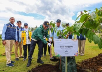Menteri PU Dody Hanggodo melakukan penanaman pohon bungur saat kunjungan kerja di IKN. (Dok. Humas Otorita IKN)