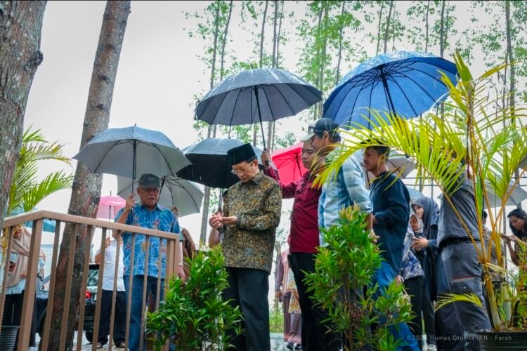 Menteri Agama Nasaruddin Umar meninjau kawasan Ibu Kota Nusantara di tengah hujan, Sabtu (21/2/2026). (Dok. Humas Otorita IKN)