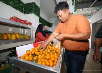 Aktivitas jual beli buah terlihat di Pasar Segar Sepaku setelah pasar modern tersebut dibuka untuk masyarakat. (Dok. Humas Otorita IKN)