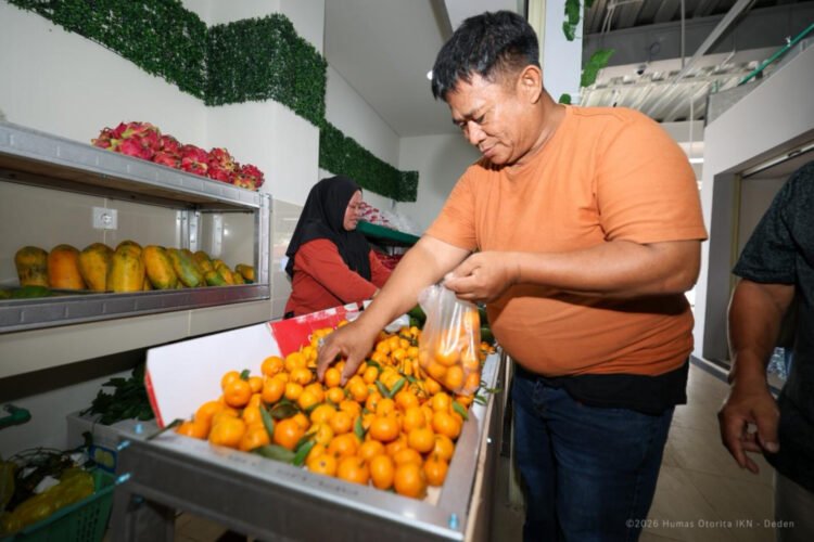 Aktivitas jual beli buah terlihat di Pasar Segar Sepaku setelah pasar modern tersebut dibuka untuk masyarakat. (Dok. Humas Otorita IKN)