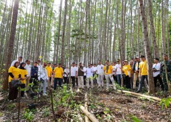 Perayaan HUT ke-41 Hermina Hospitals Group di Ibu Kota Nusantara ditandai dengan penanaman pohon, Rabu (22/4/2026). (Dok. Humas Otorita IKN)