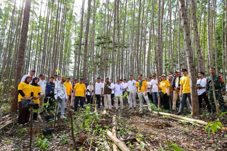 Perayaan HUT ke-41 Hermina Hospitals Group di Ibu Kota Nusantara ditandai dengan penanaman pohon, Rabu (22/4/2026). (Dok. Humas Otorita IKN)