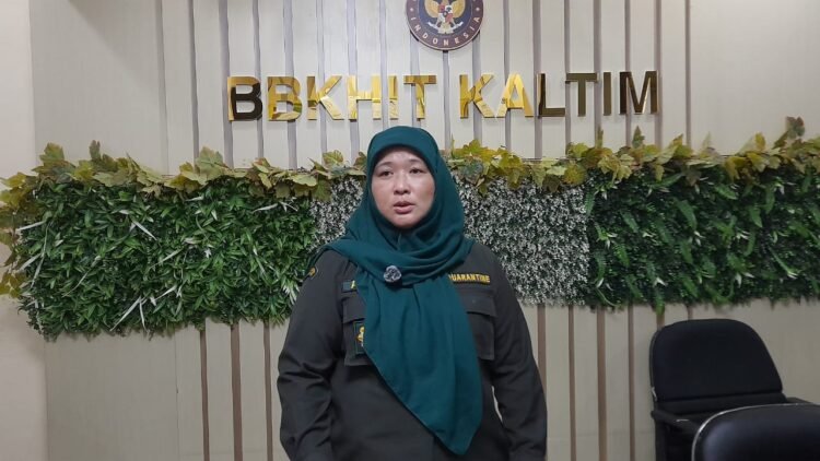 Kepala Karantina Kaltim, Arum Kusnila Dewi, menegaskan komitmen memperkuat pengawasan komoditas unggulan guna menekan risiko penolakan ekspor di negara tujuan. (Dok. MHD/PortalBalikpapan)