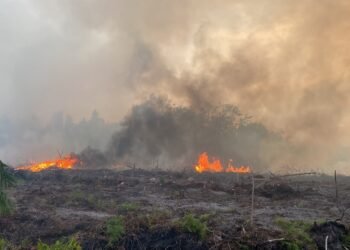 Kobaran api terlihat di lahan yang terbakar di Sampit. (Dok. Istimewa)