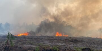Kobaran api terlihat di lahan yang terbakar di Sampit. (Dok. Istimewa)