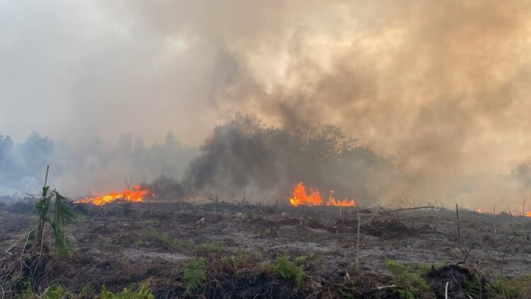 Kobaran api terlihat di lahan yang terbakar di Sampit. (Dok. Istimewa)