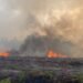 Kobaran api terlihat di lahan yang terbakar di Sampit. (Dok. Istimewa)