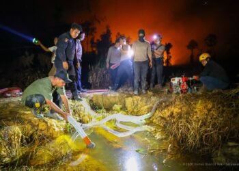 Otorita IKN Dorong Pencegahan Karhutla Melalui Edukasi dan Pelaporan Cepat. (Dok. Humas Otorita IKN)