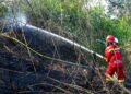 Pengendalian karhutla terus diperketat di kawasan IKN. (FOTO: Humas Otorita IKN)