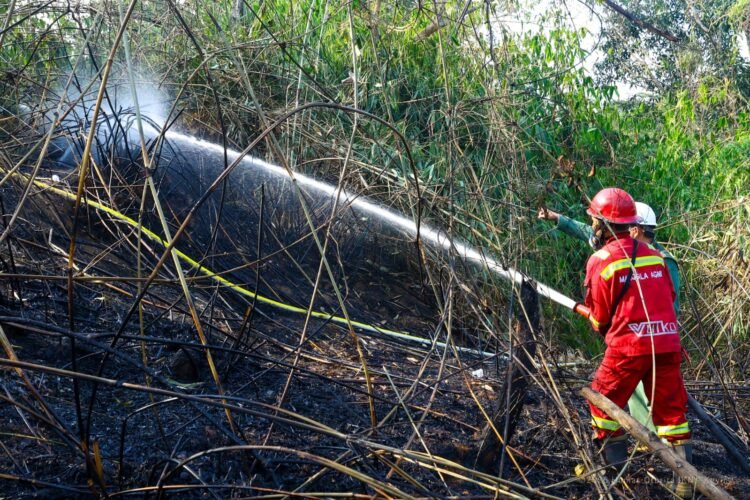 Pengendalian karhutla terus diperketat di kawasan IKN. (FOTO: Humas Otorita IKN)
