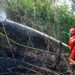Pengendalian karhutla terus diperketat di kawasan IKN. (FOTO: Humas Otorita IKN)