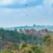 Helikopter TNI AU mengangkut air untuk operasi water bombing dalam penanganan karhutla di wilayah IKN. (FOTO: Humas Otorita IKN)